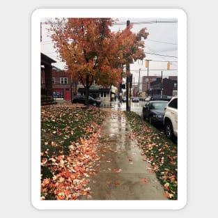 Rainy Autumn Day in Columbus, Ohio Sticker